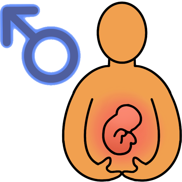 a person cradling his belly, which has a fetus symbol over it. There is a blue male symbol by him. 